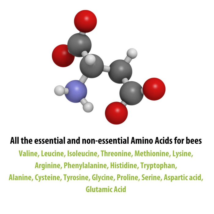 1kg HiveAlive Max Protein Patty With Pollen - Bee Feed Supplement