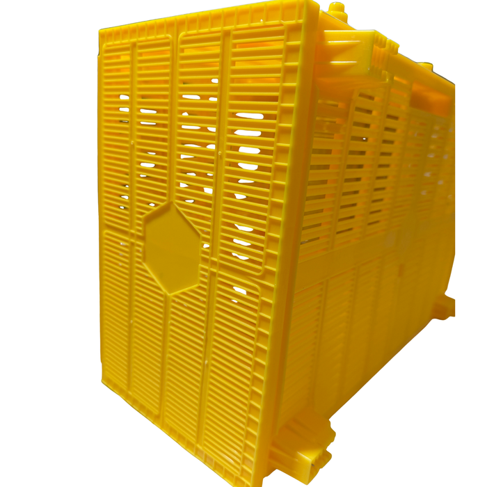 Bee Plastic Bee Package Box – Bee Transport Cage for Package Bees & Swarm Collection