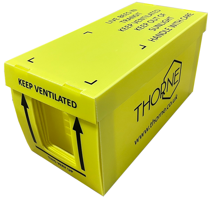 British Standard National Correx Swarm Nuc Box