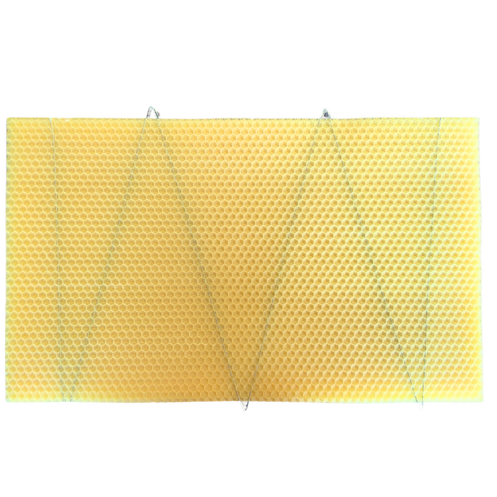 B.S. National Deep Wired Foundation Standard, 10 Pack
