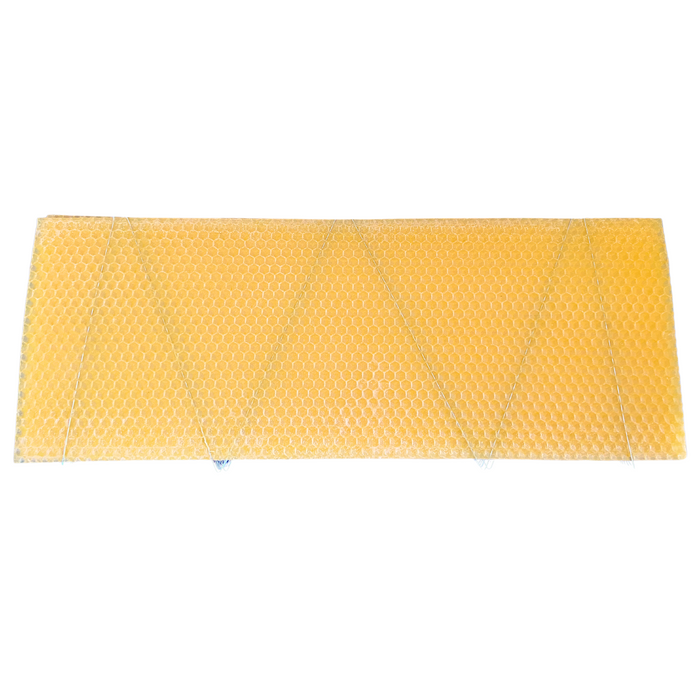 B.S. National Shallow Wired Worker Foundation Standard - 10 Pack