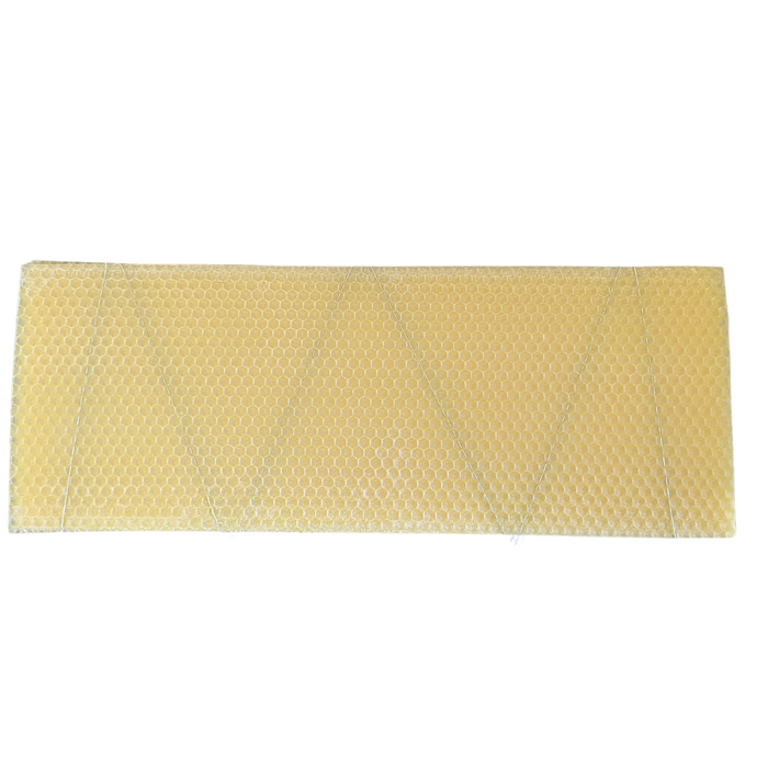 B.S. National Shallow Wired Worker Foundation Standard - 10 Pack