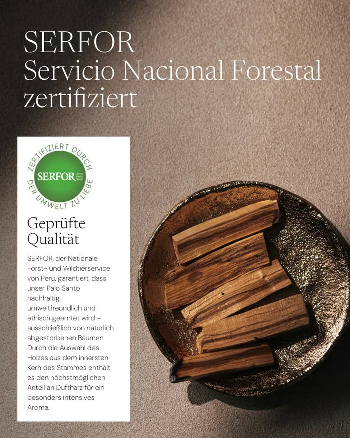 Cinnamon Zen Sticks von ZoaZen – natürliche Zimt-Räucherstäbchen der Pure Collection für Wärme und Geborgenheit – Produktansicht