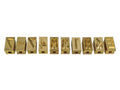 Digit for Anel Fire Marker Branding Iron, with Screws