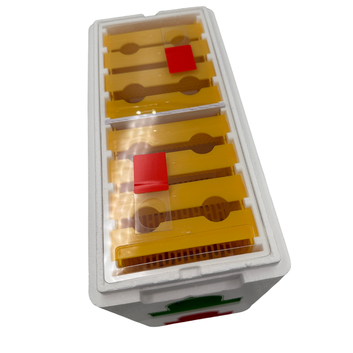 Double Decker Poly Queen Rearing Nuc Box – 2 Layer, 16 Frame with Feeder & Excluder