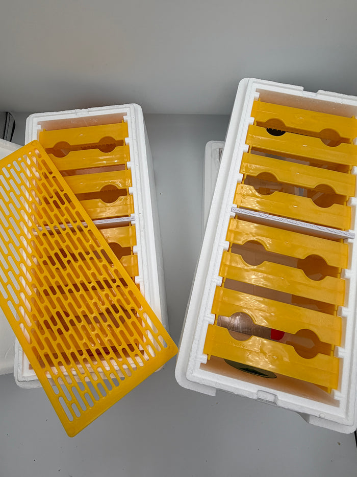 Double Decker Poly Queen Rearing Nuc Box – 2 Layer, 16 Frame with Feeder & Excluder