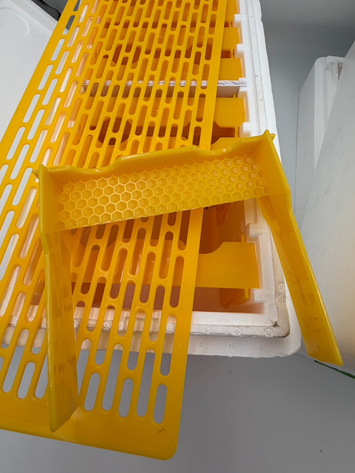 Double Decker Poly Queen Rearing Nuc Box – 2 Layer, 16 Frame with Feeder & Excluder