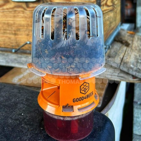 GOOD4BEES Selective Asian Hornet Trap – Bee-Safe Vespa Velutina Trap