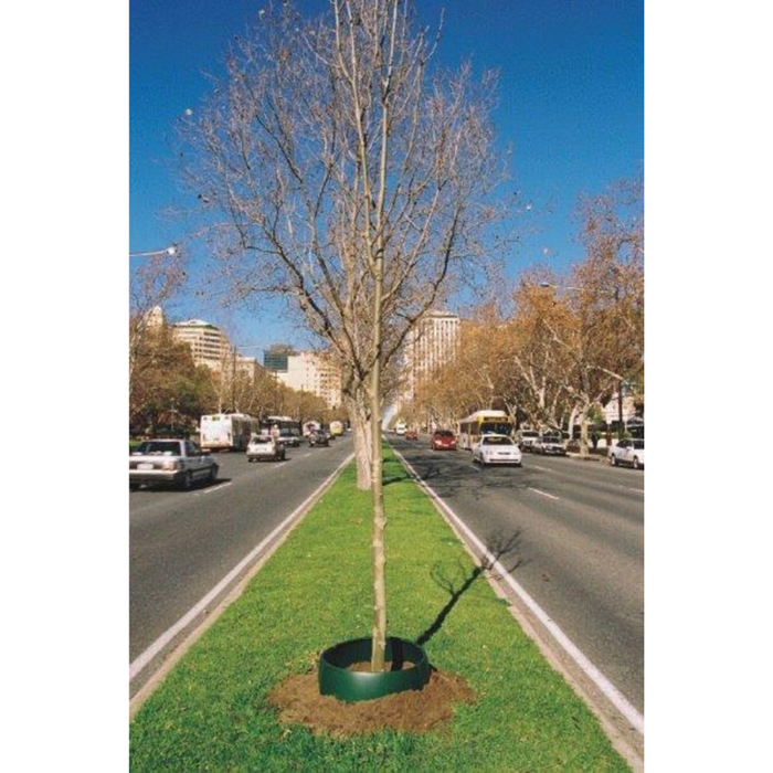Greenwell Tree Surround
