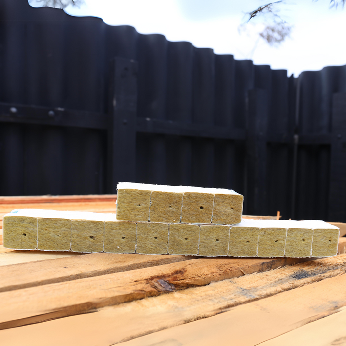 Grodan Rockwool Cubes