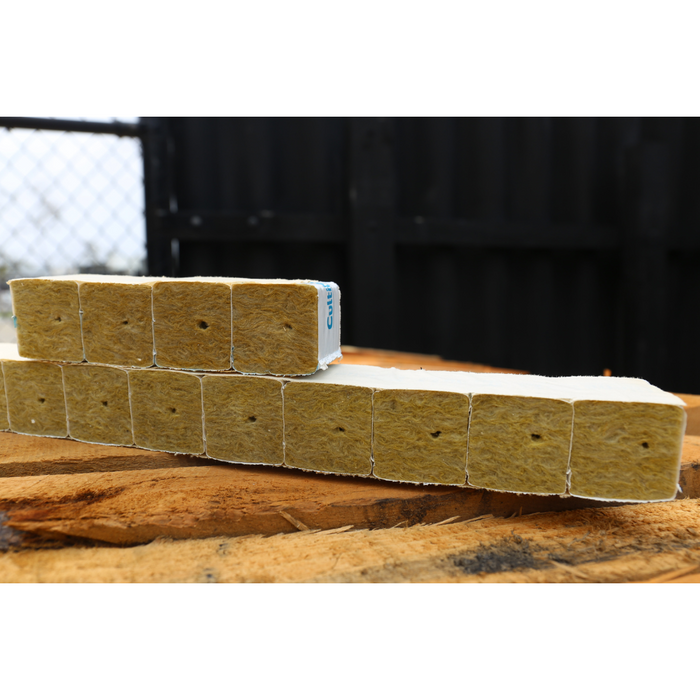 Grodan Rockwool Cubes