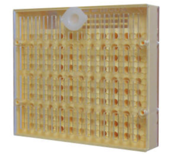 Nicot Cupularve Queen Rearing System (Cage & Grid Only – Non Grafting)