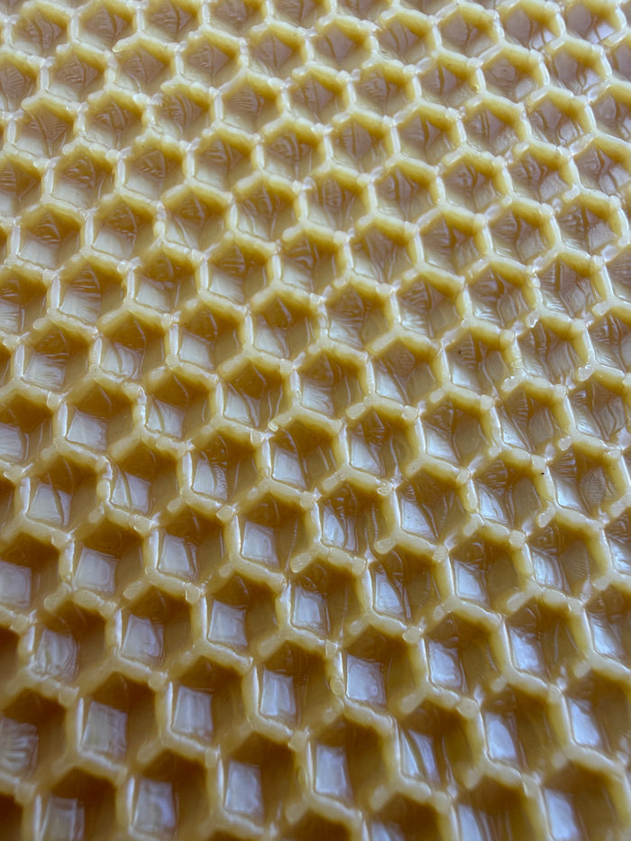 National Brood Wax Foundation Sheets
