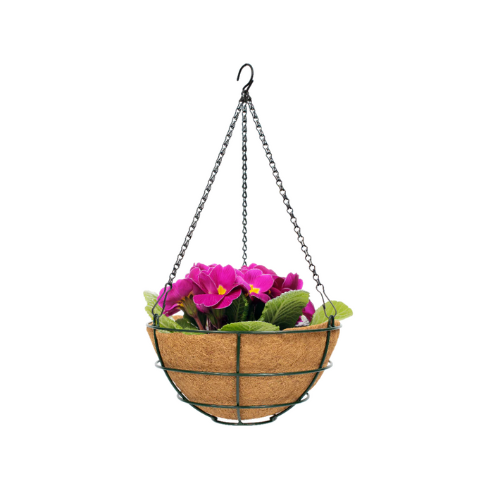 Rally Hanging Basket