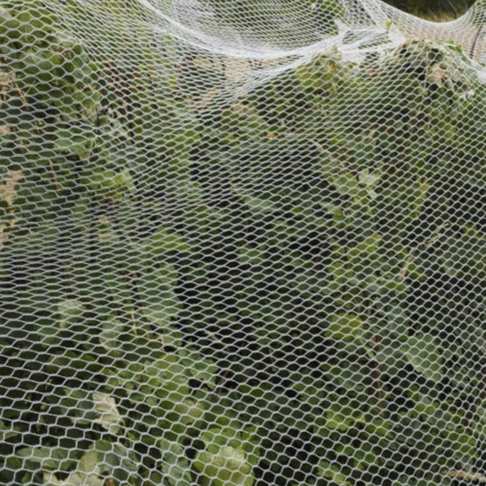 Silvereye Econonet Black Birdnetting - 5m x 100m