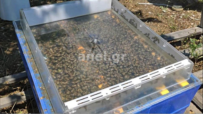 Transparent Langstroth Top Feeder 10 Frame 7.5kg by ANEL