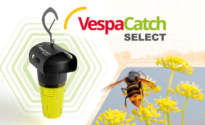 VespaCatch Select Asian Hornet Trap Vespa Catch (Adjustable & Selective) | Trap Only or With Lures