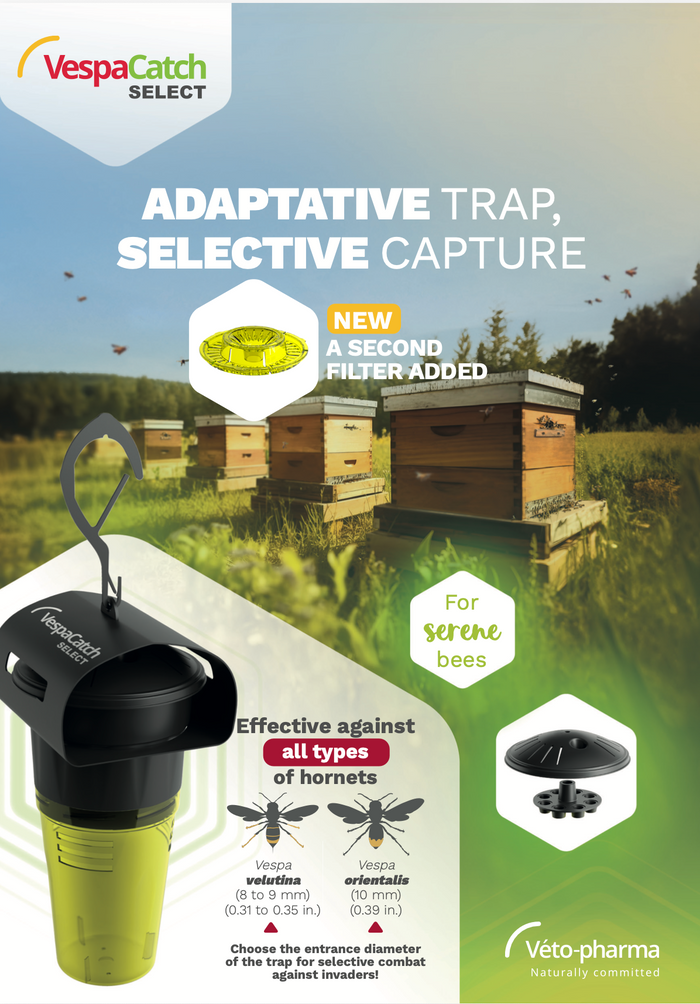 VespaCatch Select Asian Hornet Trap Vespa Catch (Adjustable & Selective) | Trap Only or With Lures