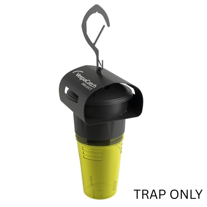 Asian Hornet Trap Only