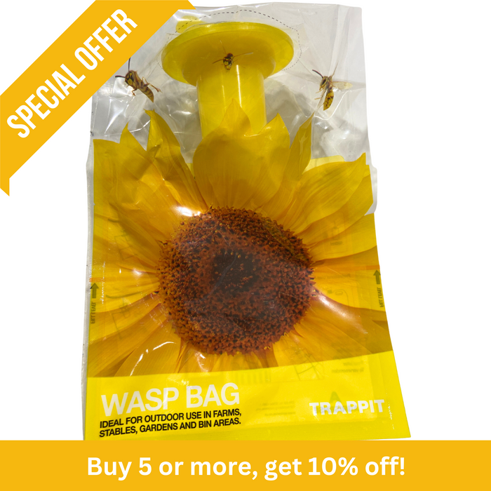Wasp and Asian Hornet Trap Disposable Bag - Effective Outdoor Trap