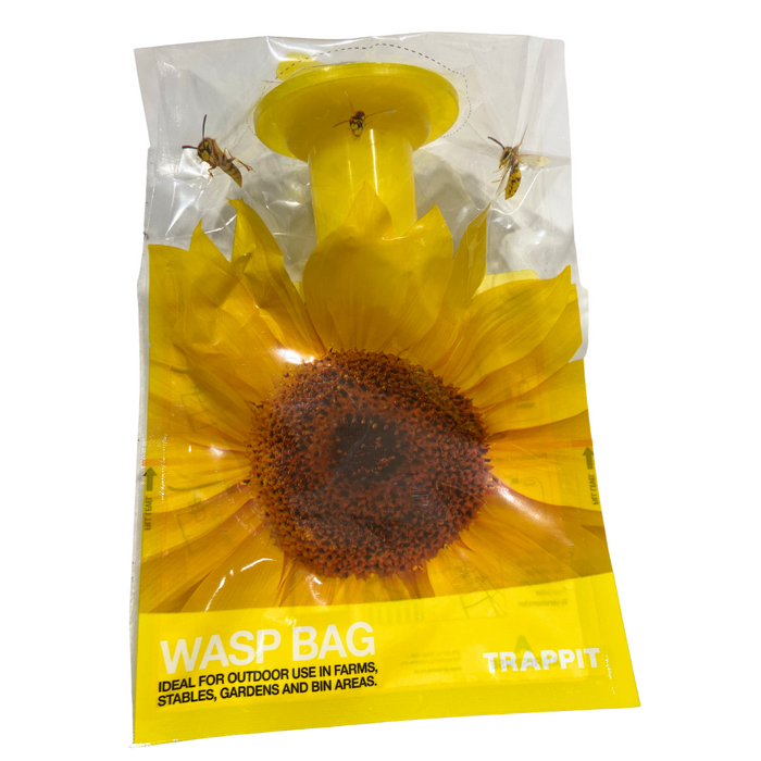 Asian Hornet Wasp Trap