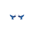 Whales Tail Stud Earrings